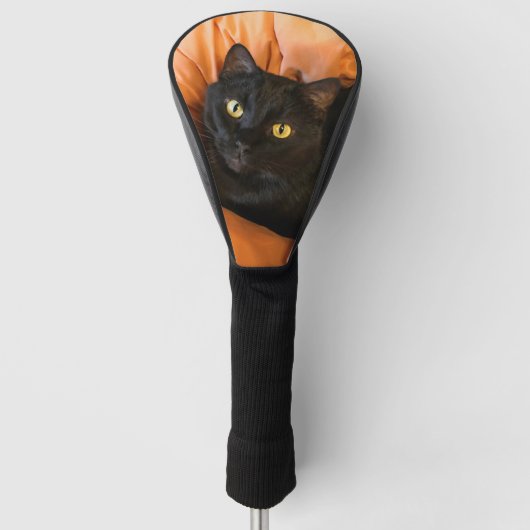 かわいい黒猫 ゴルフヘッドカバー (正面)
