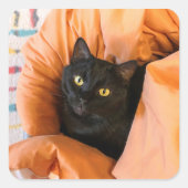 かわいい黒猫 スクエアシール (正面)