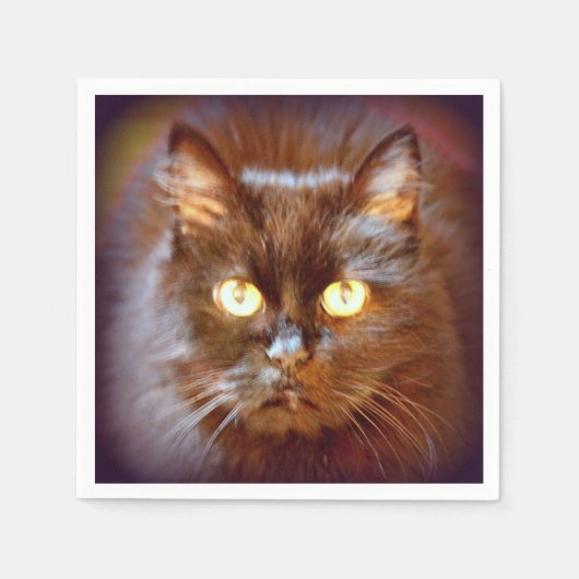 かわいい黒猫 スタンダードカクテルナプキン (正面)