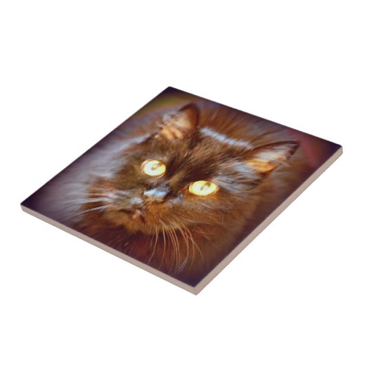 かわいい黒猫 タイル (側面)