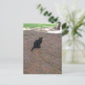 かわいい黒猫 ポストカード (スタンド正面)
