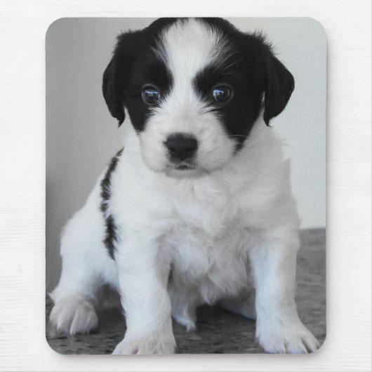 かわいい黒白の子犬 マウスパッド (正面)