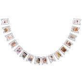 かわいい1歳の誕生日12ヶ月フォトマイルストーンバンティング バンティングフラッグ (全)