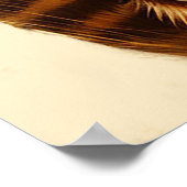 かわいい2匹の猫が抱き締める ポスター (角)