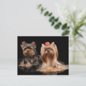 かわいい2匹 ポストカード (スタンド正面)