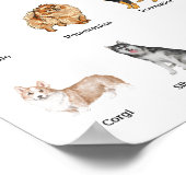 かわいい20種類の犬 ポスター (角)