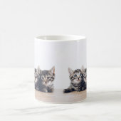 かわいい3匹の子猫 コーヒーマグカップ (中央)