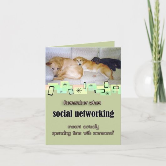 かわいい3匹の犬の誕生日グリーティングカード カード (正面)