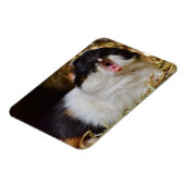 かわいい3色モルモットあくびをする マグネット (左側)