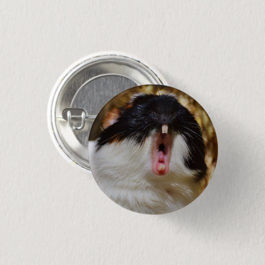 かわいい3色モルモットあくびをする 缶バッジ (正面&裏面)