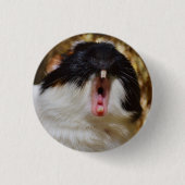 かわいい3色モルモットあくびをする 缶バッジ (正面)