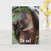 かわいい30歳の誕生日動物の写真 カード (黄色い花)