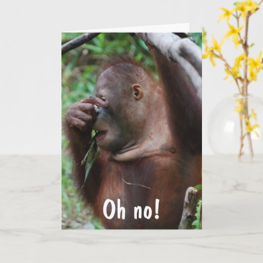 かわいい30歳の誕生日動物の写真 カード (黄色い花)