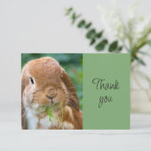 かわいい うさぎ 動物 ペット サンクスギッズ サンキューカード (スタンド正面)