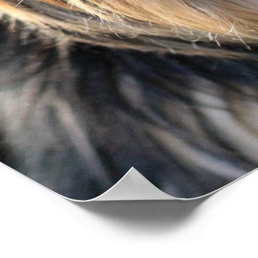 かわいい&おもしろい犬クローズアップポスター ポスター (角)