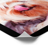 かわいい&おもしろい犬フォトコラージュのポスター1 ポスター (角)