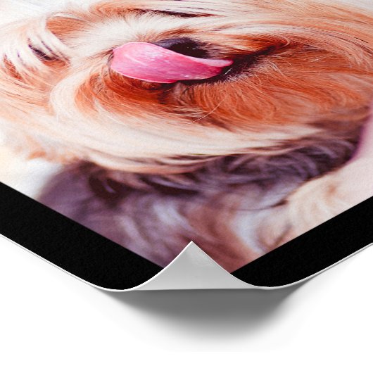 かわいい&おもしろい犬フォトコラージュのポスター1 ポスター (角)