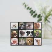 かわいい&おもしろい犬フォトコラージュはがき ポストカード (スタンド正面)