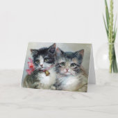 かわいい&もっとかわいい、愛らしい子猫たち、 カード (正面)