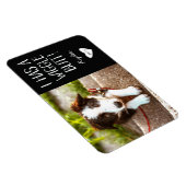 かわいい「ウィグルお尻」ペットの写真 |黒 マグネット (右側)