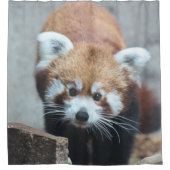 かわいい シャワーカーテン (正面)