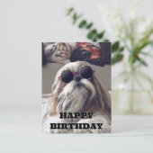 かわいい シー・ズー ロングヘア ヴィンテージ フォト 誕生日 ポストカード (スタンド正面)