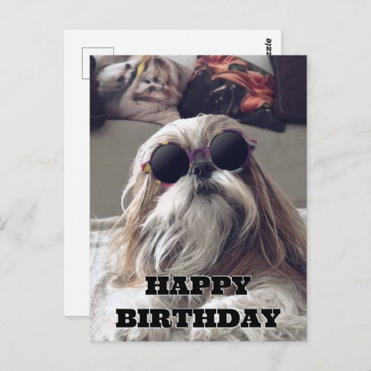 かわいい シー・ズー ロングヘア ヴィンテージ フォト 誕生日 ポストカード (正面/裏面)