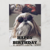 かわいい シー・ズー ロングヘア ヴィンテージ フォト 誕生日 ポストカード (正面)