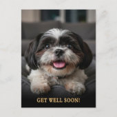 かわいい シー・ズー 病気回復 ポストカード (正面)