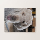 かわいい ジグソーパズル (横)