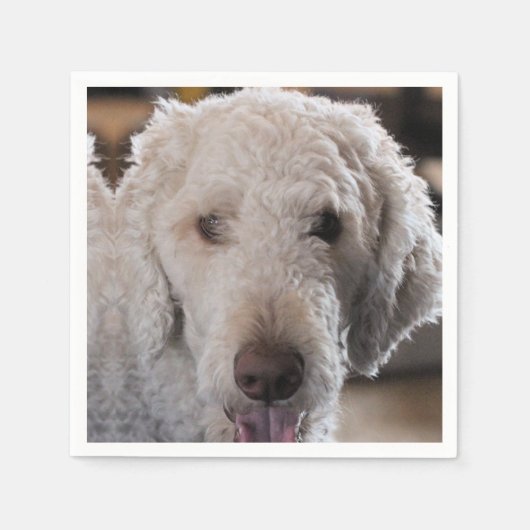 かわいい スタンダードカクテルナプキン (正面)