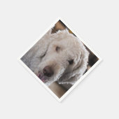 かわいい スタンダードカクテルナプキン (角)