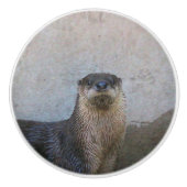 かわいい セラミックノブ (正面)