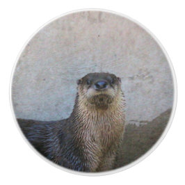 かわいい セラミックノブ