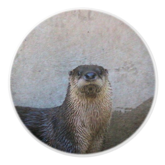 かわいい セラミックノブ (正面)