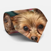 かわいい ネクタイ (ロール)