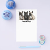 かわいい フレンチ・ブルドッグ ラベル チラシ (シングル)