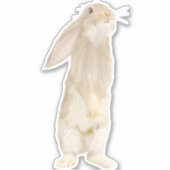 かわいい フワフワ ウサギ シール (正面)