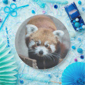 かわいい ペーパープレート (パーティー)