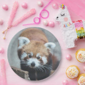 かわいい ペーパープレート (パーティー)