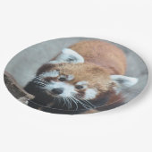 かわいい ペーパープレート (アングル)