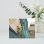 かわいい!!!!!!!! ポストカード (スタンド正面)