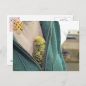 かわいい!!!!!!!! ポストカード (正面/裏面)