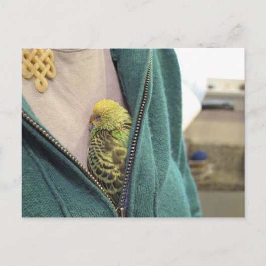 かわいい!!!!!!!! ポストカード (正面)