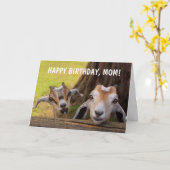 かわいい「ママのために」ベビーヤギ誕生日 カード (黄色い花)