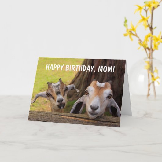 かわいい「ママのために」ベビーヤギ誕生日 カード (黄色い花)