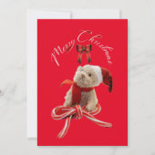 かわいい  ユーモアあふれるクリスマスのテディベア  メッセージ シーズンカード (正面)