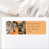 かわいい ラベル (インサイチュ)