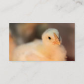 かわいい 名刺 (裏面)