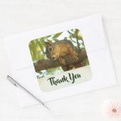 かわいい&好奇心リス自然写真 – ありがとう スクエアシール (封筒)